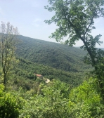 Digital Detox Yoga Retreat in Eremito Italy June 2019