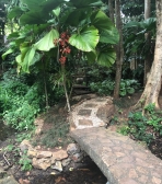 A Sanctuary for the heart July Yoga Retreat in Thailand 2019