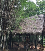A Sanctuary for the heart July Yoga Retreat in Thailand 2019